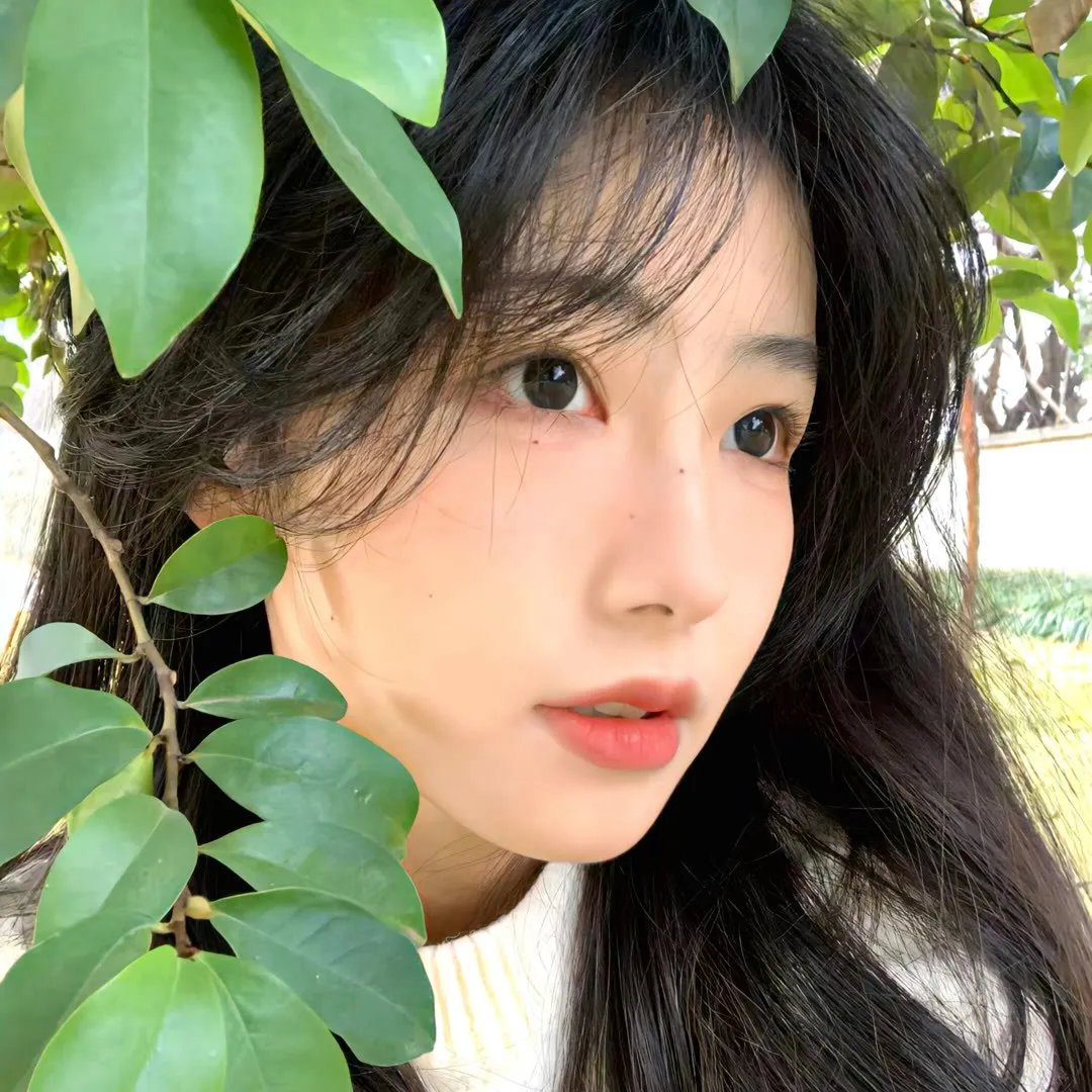 绿夜